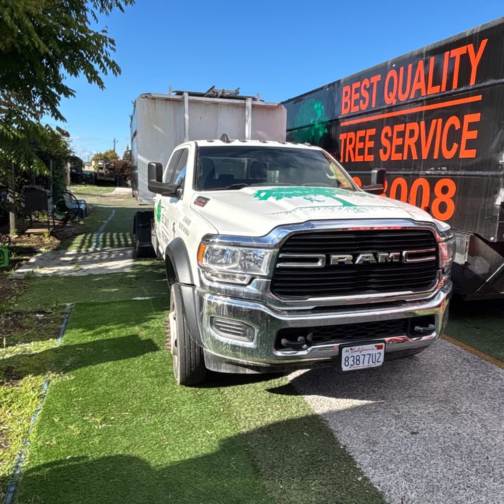 Dodge Chipper
  Truck