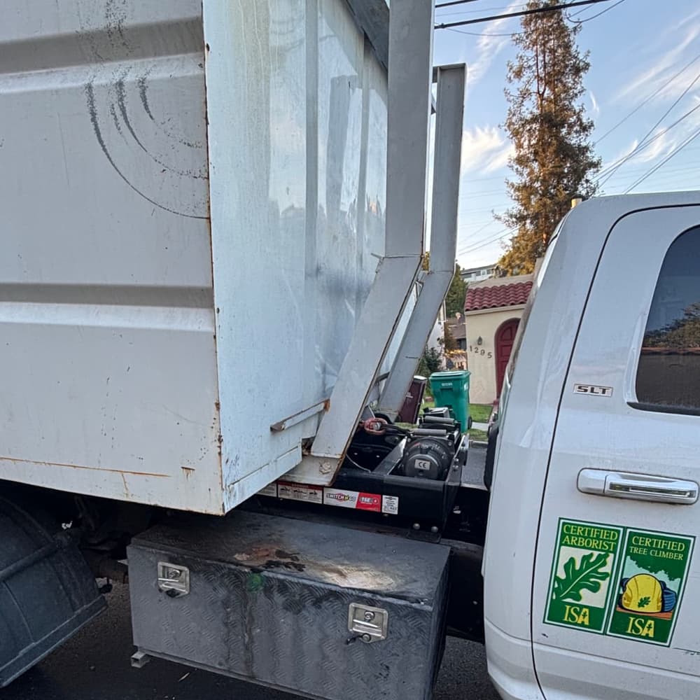 Dodge Chipper
  Truck